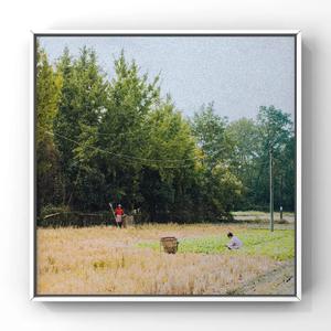 白丝裸体美女被坏人挠b
